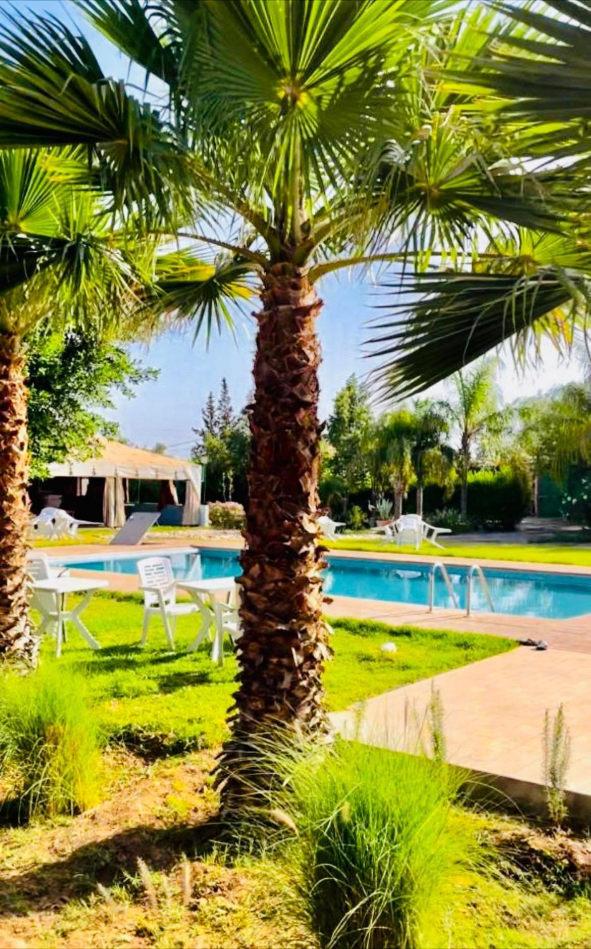 Lagouassem Villa Baddi Marrakech מראה חיצוני תמונה