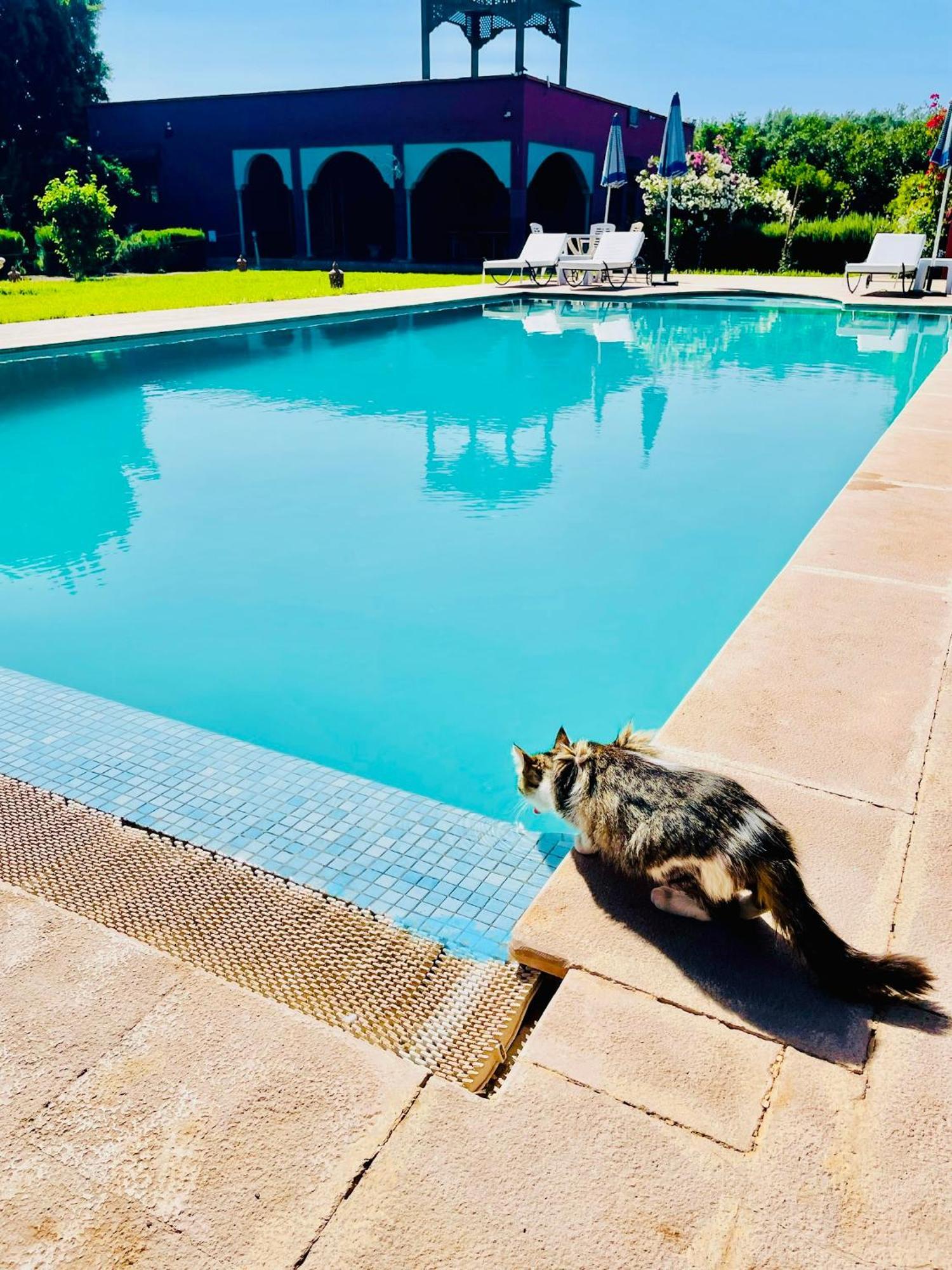 Lagouassem Villa Baddi Marrakech מראה חיצוני תמונה
