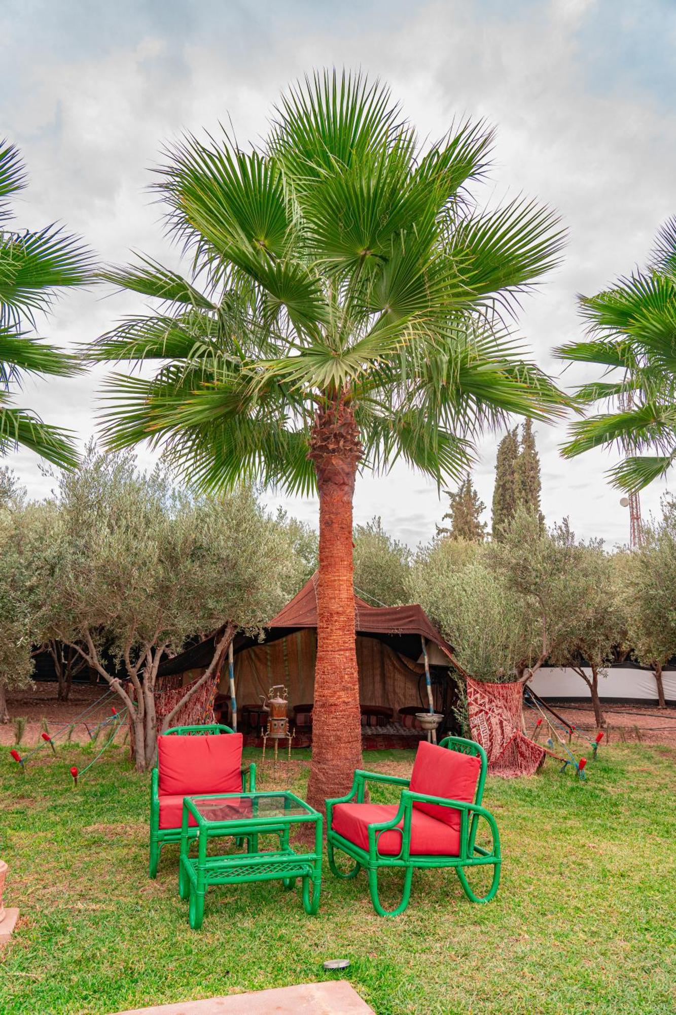 Lagouassem Villa Baddi Marrakech מראה חיצוני תמונה